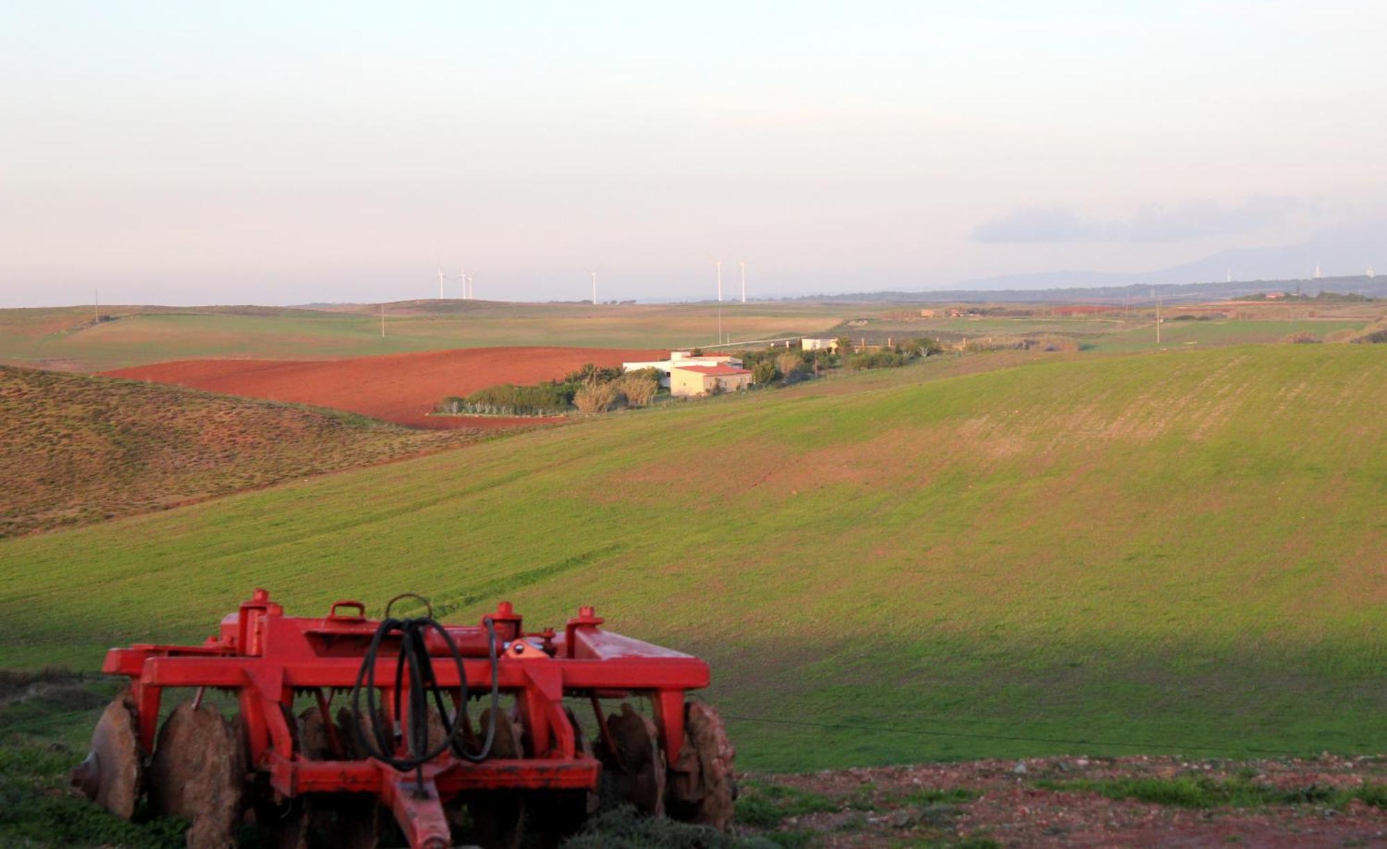 Monte De Santo Antonio - Turismo Rural Вила-ду-Биспо Номер фото